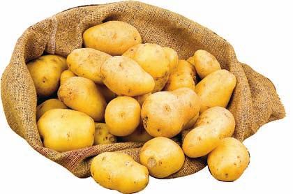 Patate arborea kg.