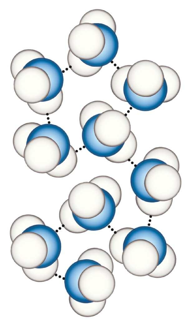 Legame idrogeno Nell ammoniaca ci sono meno legami idrogeno che nell acqua, perché la molecola di NH 3 ha una sola coppia solitaria di elettroni, per cui ogni atomo