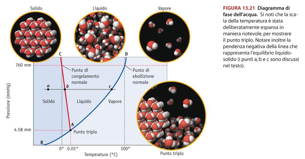 Ciascuna linea del diagramma di stato rappresenta le condizioni di coesistenza di due fasi in equilibrio.