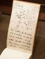 L evoluzione di Darwin: Notebook B