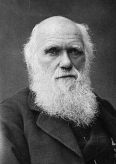 Charles Darwin, The Origin of