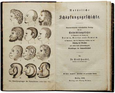 Ernst Haeckel, Natürliche