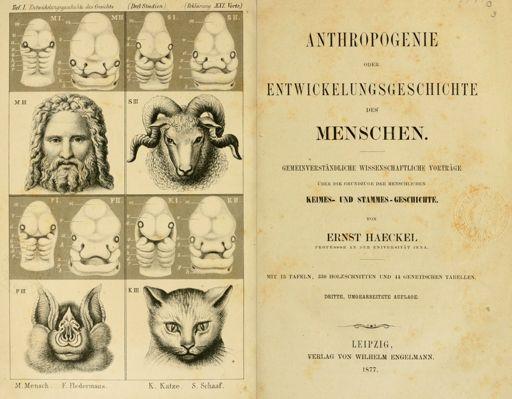 Ernst Haeckel,
