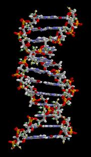Estrazione di DNA Varie