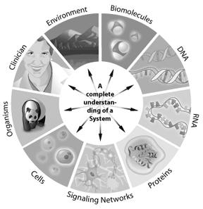 In particolare questo obiettivo viene conseguito tramite l'integrazione di modelli dinamici e dei risultati di