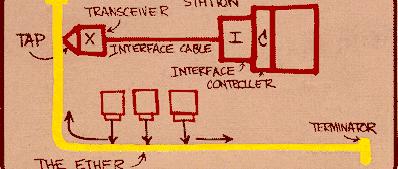 Indice Generalità sulle reti locali Ethernet / IEEE 802.