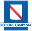 Italiano (CUSI) il Protocollo d Intesa finalizzato alla assegnazione delle Universiadi 2019 alla Regione Campania; - in data 5 marzo 2016 il Comitato Esecutivo della FISU ha attribuito le Universiadi