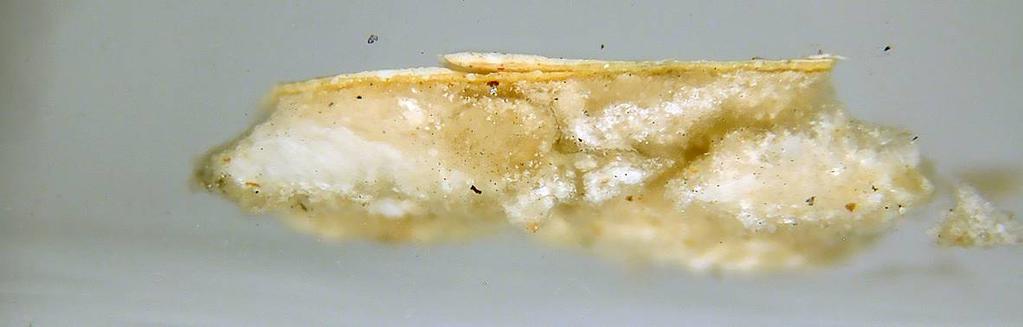 Strati (dal più interno) A CAMPIONE 9 Analisi microstratigrafica Natura dello strato per correlazione tra microscopia ottica, analisi ESEM/EDS e micro FTIR Strato preparatorio (spessore massimo ~ 350