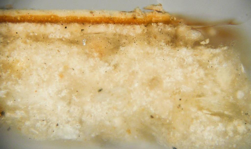 Strato preparatorio (50-115 µm): prevalentemente gesso biidrato in fini cristalli aciculari, accompagnato da pochi granuli grossolani di anidrite. Strato di natura organica (8-15 µm): probabili oli.