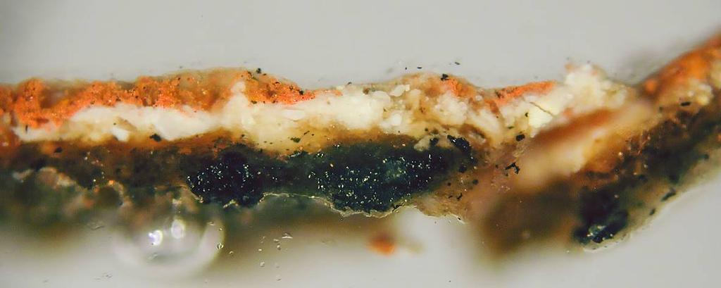 B C D E Strato bruno-rossiccio (45-90 µm): prevalentemente cera d api, accompagnata da poco nero carbone e da sporadici granuli di biacca.