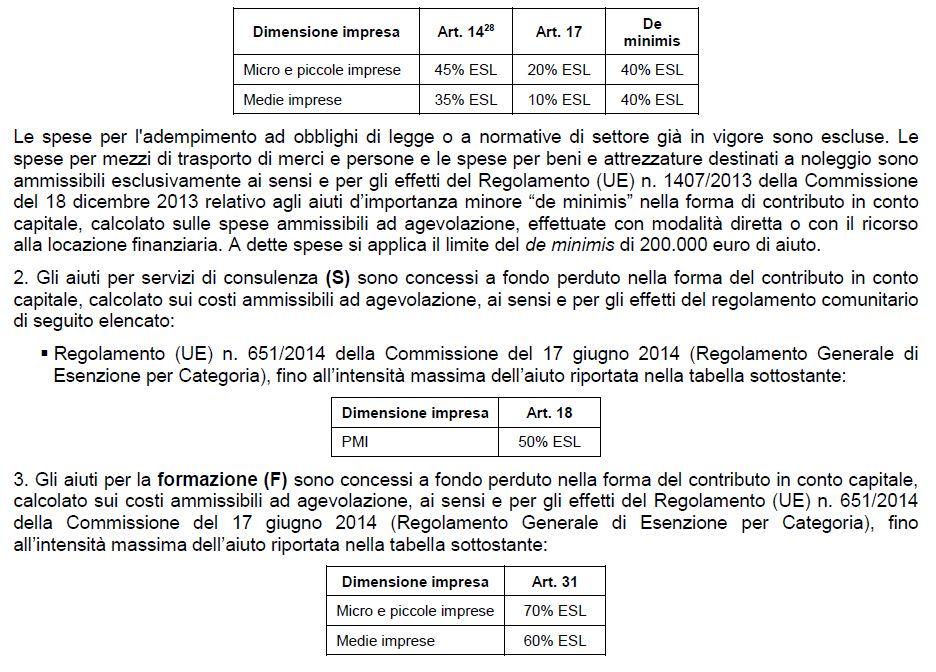 ricorso alla locazione finanziaria (a condizione che il bene sia acquisito nell'attivo dell'impresa a scadenza del contratto), sotto forma di regime o per determinate categorie di spesa ai sensi e