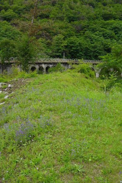 Ponte di S. Rocco (ruderi) Capo di Ponte (BS) Link risorsa: http://www.lombardiabeniculturali.