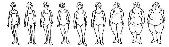 Percezione del corpo In ricerca sull anoressia sono state misurate su un campione di 85 donne la propria figura reale,