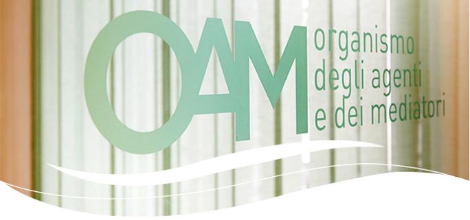 Il modello organizzativo OAM Un modello ibrido
