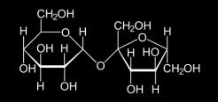 Disaccaridi Tra i disaccaridi sono da ricordare il saccarosio, formato da glucosio e fruttosio con legame -glicosidico, e il lattosio, costituito da glucosio e galattosio con legame - glicosidico.