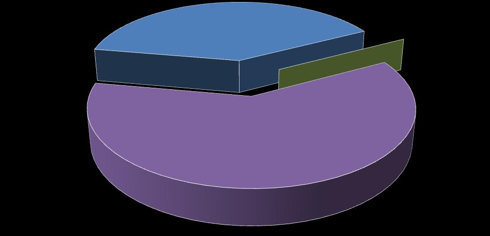 Usare il cellulare a scuola 39%