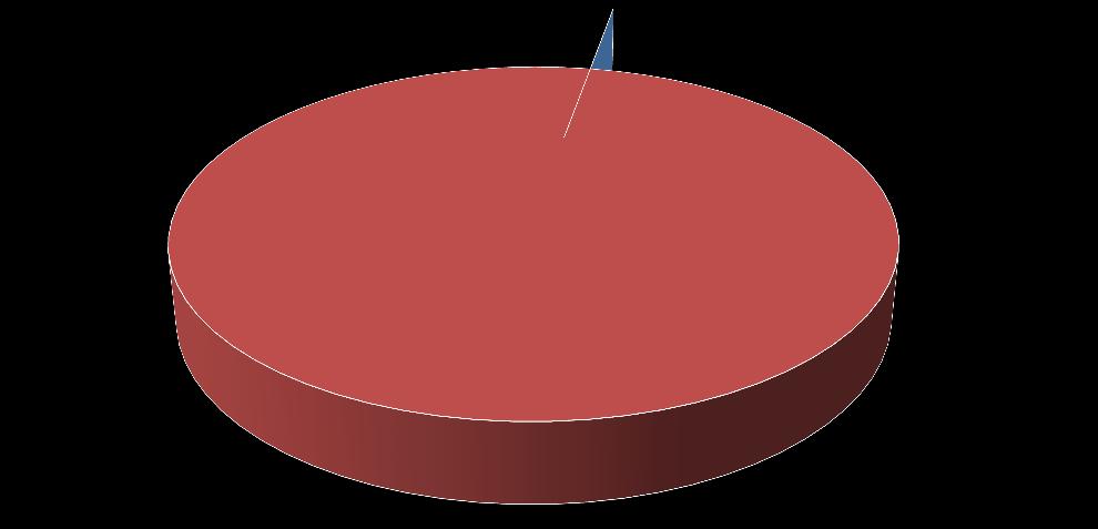 RAPPRESENTAZIONE GRAFICA DELLE RISPOSTE AI QUESITI CLASSE I A MAS Ti ritieni destinatario delle