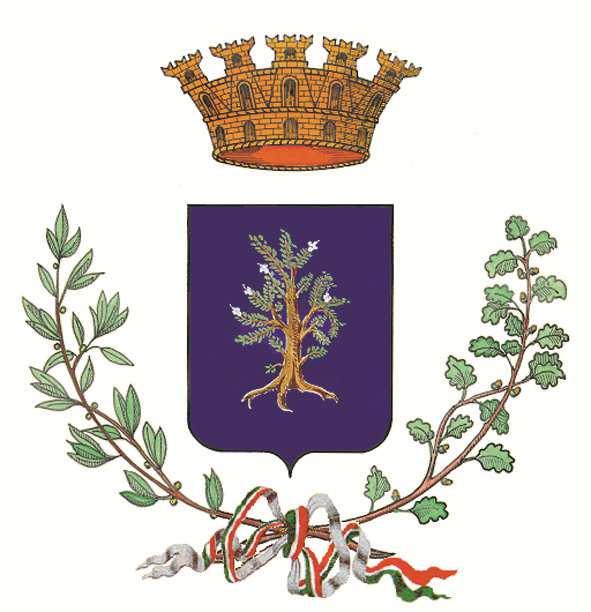 COMUNE DI BRUGHERIO Provincia di