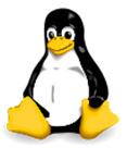 3. INTRODUZIONE AL ROUTING CON LINUX AGGIUNGERE UNA ROUTE PER UNA MACCHINA Aggiungere una route per una macchina o