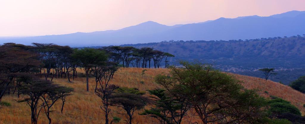 Cena e pernottamento: Gorilla Mist Camp Sesto giorno : Bwindi - Lake Mutanda (2:20 circa) Settimo giorno : Amboseli N.