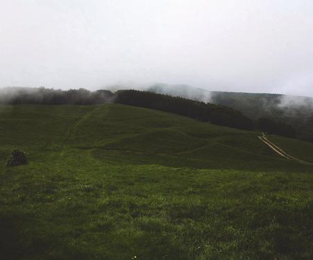 Quindi, nei riquadri sui valori, si sono utilizzate le foto che più restituiscono l unicità e la ricchezza degli elementi costitutivi di questo paesaggio (la vegetazione, la fauna, i corsi d