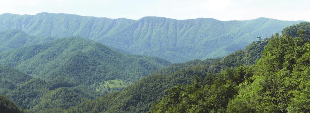 In questo contesto si inserisce la Riserva Naturale Integrale di Sasso Fratino, istituita nel 19