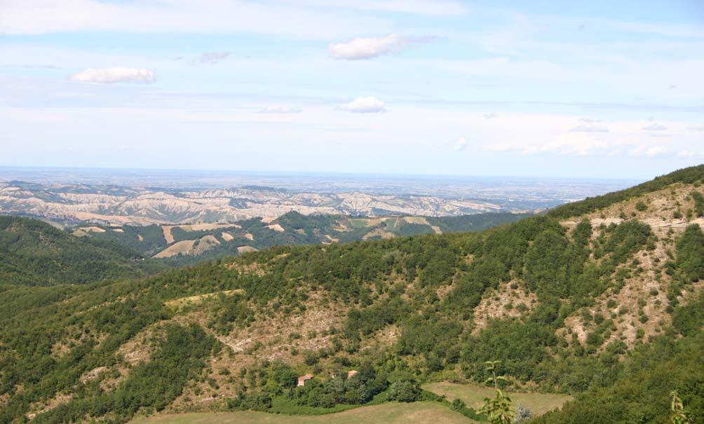 torrente Sillaro (Da Giugnola) 78 In primo piano la formazione MarnosoArenacea, in secondo le forme