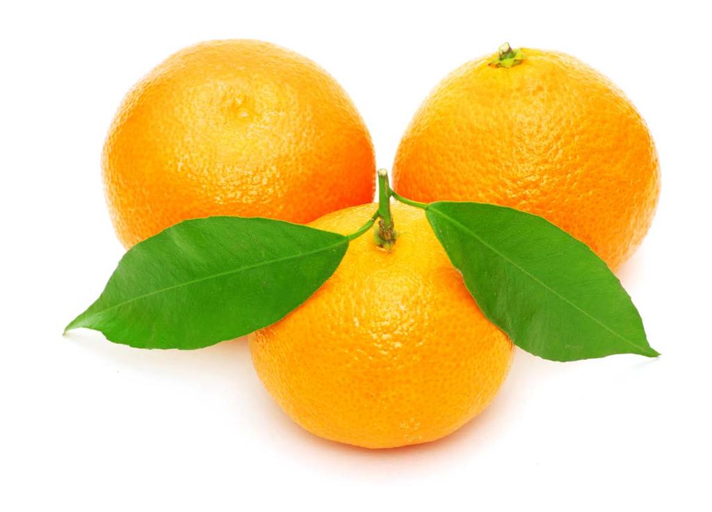il rosolio al mandarino