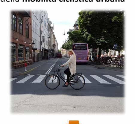 PER UNA CITTA CICLABILE CICLABILITA DIFFUSA La prima e più importante questione che le azioni per la difesa e diffusione della mobilità ciclistica urbana devono saper
