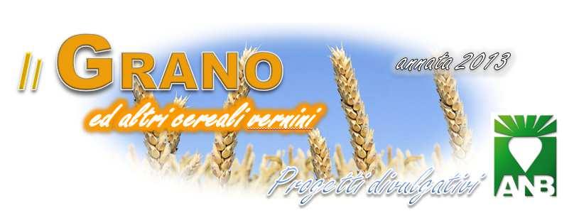 Riepilogo interventi fase spigatura (epoca prima/seconda decade di maggio) fusariosi ruggine bruna oidio Fitofagi fungicida insetticida concime fogliare azotato Prosaro 1 l/ha o Proline O,8