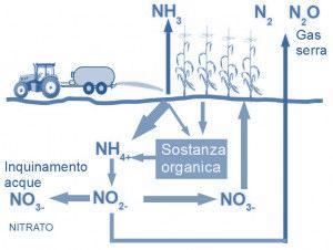 CH 4 Con ogni impianto si gestirà sul territorio una quantità di azoto (N) da effluenti zootecnici nell ordine di 320 t/anno per i quali