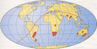 Argomenti paleoclimatologici Erano i temi su cui Wegener era più preparato.