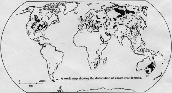 Inoltre in alcune zone del nord America, del nord Europa e della Siberia si trovano giacimenti di carbone, derivanti dalla trasformazione di foreste tropicali paleozoiche.