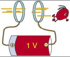 Il sincrotrone (McMillan 1944) ~ Nella vecchia idea dell acceleratore circolare,
