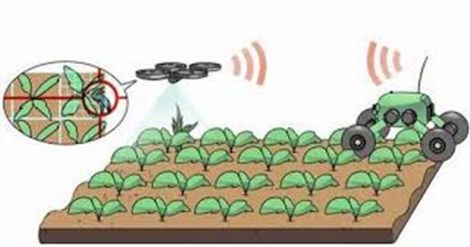 il risparmio idrico agro-tecniche innovative 1 tecnologie informatiche proximal sensing e irrigazione di