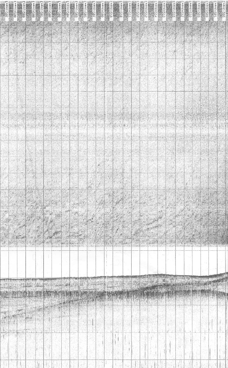 50 m IMMAGINE SONAR A SCANSIONE LATERALE Fig. 4.6 Profilo combinato Sub Bottom Profiler- Side Scan Sonar (tecnologia CHIRP) sul sito di carotaggio VL00/3 VL00/3 SW - NE PROFILO SUB BOTTOM PROFILER 3.