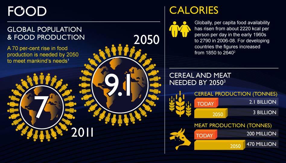 con dieta europea 12 >17 >23 Fattori di riduzione: Richiesta terreni altri settori 43% Prod. Pot.