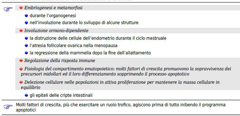 EVENTI FISIOLOGICI IN CUI E IMPLICATA L APOPTOSI - La morte di tipo apoptotico assolve un compito