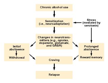 Le principali tipologie del craving Craving negativo preoccupazione di assumere la sostanza per evitare l astinenza Craving