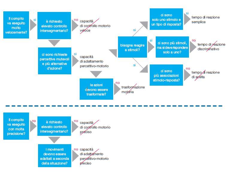 Il 2 pilastro del metodo: la coordinazione motoria Reazione semplice Reazione discriminativa Reazione di