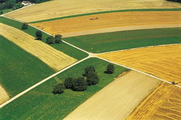 AGROENERGIA E MULTIFUNZIONALITA LA NUOVA AGRICOLTURA DEVE: TUTELARE E GARANTIRE QUALITÀ E LA SICUREZZA DEI PRODOTTI ALIMENTARI SALVAGUARDARE IL PAESAGGIO PRESERVARE L'AMBIENTE NATURALE ED IL