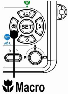 Uso della modalità Macro La fotocamera è dotata di una funzione macro che consente la messa a fuoco di soggetti molto vicini.