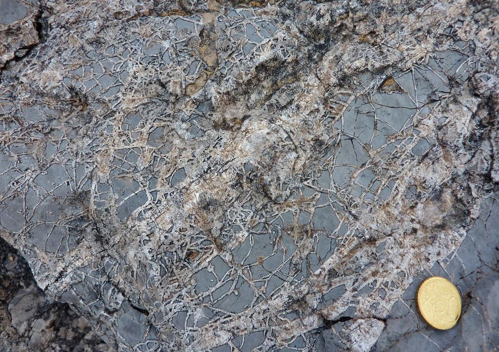 livello di brecce sedimentarie (br). (QPN: quarzareniti del Triassico inf.) Fig.