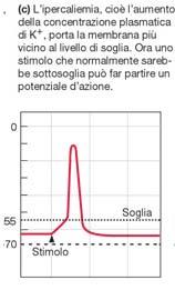 -anche variazioni di concentrazioni