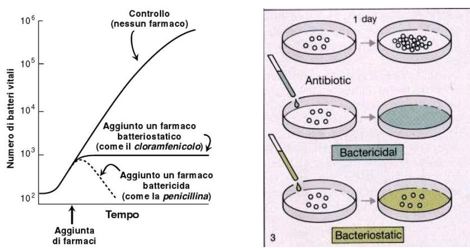 LEZIONE DEL 17 GENNAIO ANTIBIOTICI Antibatterici. Si tratta di una classe di farmaci che agiscono su infezioni causate dai batteri.