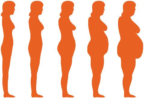 OBESITÀ Il soggetto obeso viene definito tale quando supera del 20% il proprio peso ideale,