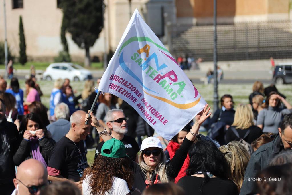 L ANPA Santeramo sempre dalla parte dei più deboli. Il 31 marzo l A.N.P.A. era presente a Roma alla manifestazione dei Diritti Animali: soggetti non oggetti, tenutasi in Piazza San Giovanni (In Laterano).