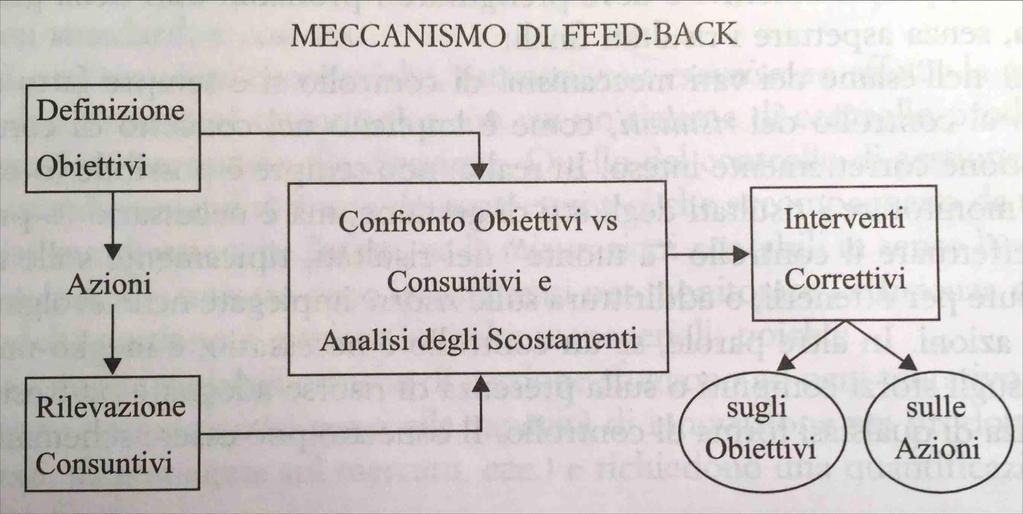 IL MECCANISMO DI FEED-BACK Il controllo di gestione consente di attuare un meccanismo denominato «feed-back», il quale consente di