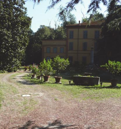 vegetazionale ad alto fusto del Bosco Baronio e dalla maglia agricola dei campi e degli orti alle spalle.