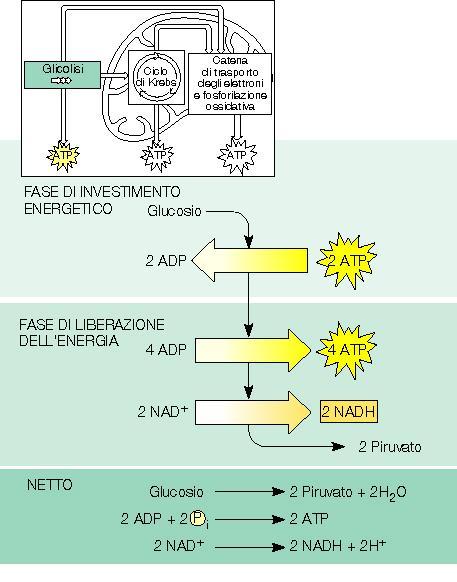 BILANCIO